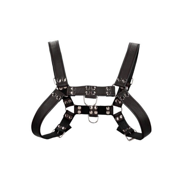 Bulldog Leather Chest Harness - S/M - Image 4