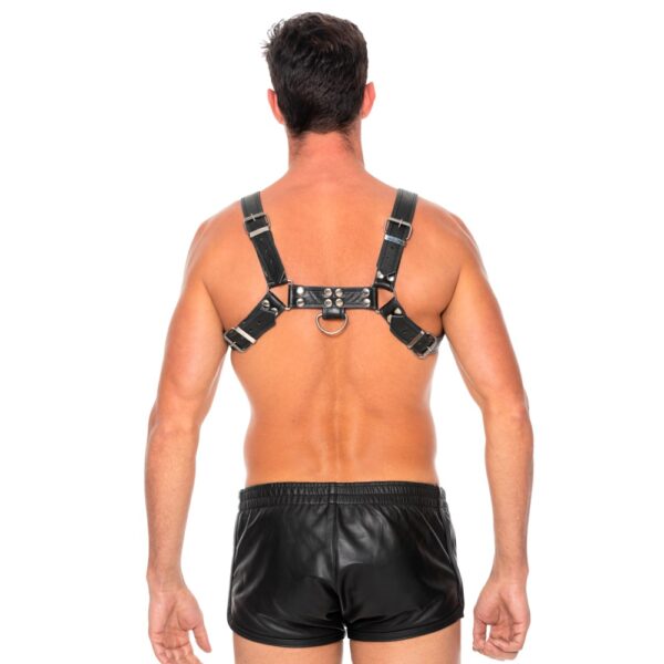 Bulldog Leather Chest Harness - S/M - Image 6